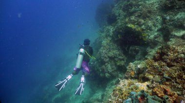 Skuba dalgıcı suyun altında.