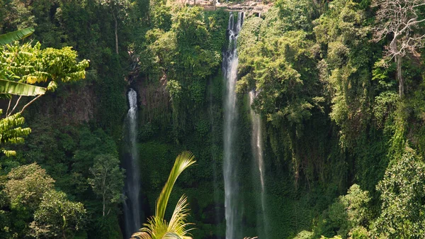 Beautiful tropical waterfall Bali,Indonesia.
