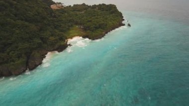 palmiye ağaçları ile tropikal kum plaj