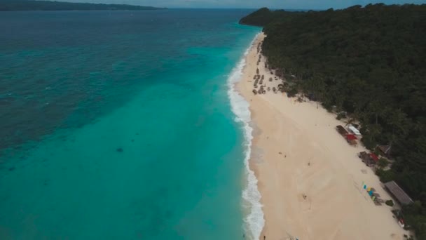 Тропічний піщаний пляж з пальмами — стокове відео