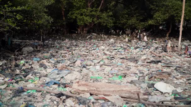 Asya Java, Endonezya 'daki çöplerle ilgili sorun — Stok video