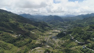 Dağlarda pirinç terasları. Filipinler, Batad, Banaue.