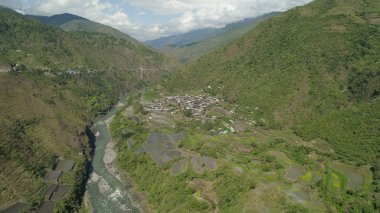 Dağlarda pirinç terasları.