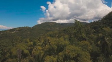 Tropikal peyzaj palmiye ağaçları ile. Filipinler