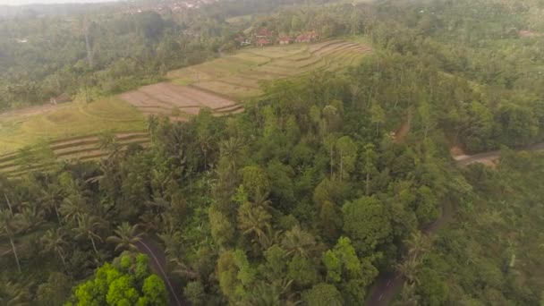 Tropiskt landskap med jordbruksmark i indonesien — Stockvideo