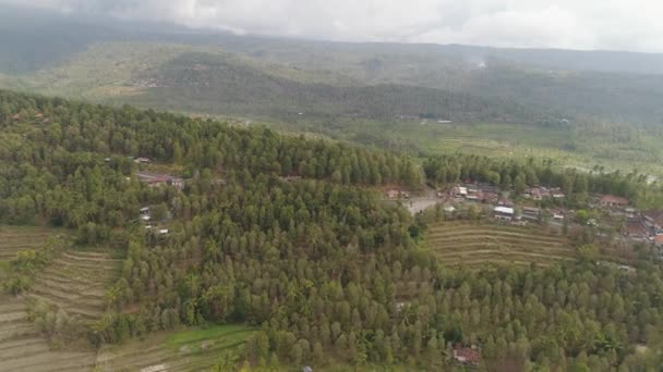 Paisagem tropical com terras agrícolas na indonésia — Vídeo de Stock