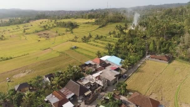 Тропічний пейзаж з сільськогосподарськими землями в Індонезії — стокове відео