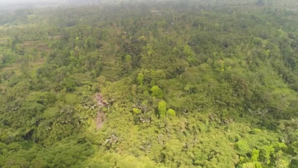 Zemědělská půda a vesnice Bali, Indonésie. — Stock video