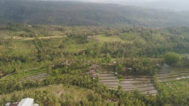 Endonezya 'da tarım arazisi olan tropikal araziler