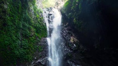 Güzel tropik şelale.