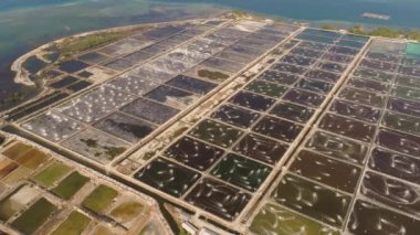 Karides çiftliği, karides çiftliği ve havalandırma pompalı okyanus yakınında oksijen suyu. Balık, karides ve diğer deniz ürünleri yetiştiren göletli balık çiftliği. Balık kuluçka göleti havadan görünüşlü su kültürü.