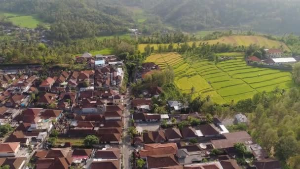 Paisaje tropical con tierras agrícolas en indonesia — Vídeo de stock