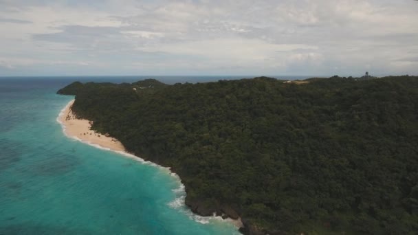 Тропический песчаный пляж с пальмами — стоковое видео