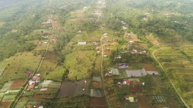 Endonezya 'da tarım arazisi