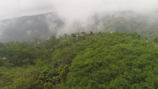 Сельскохозяйственные угодья и деревня Бали, Индонезия. — стоковое видео