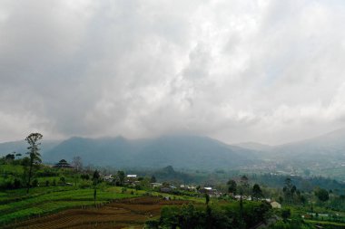 Dağlarda tarım arazileri olan tropikal manzaralar