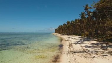 Tropikal plaj ve turkuaz deniz