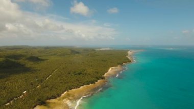 Tropikal plaj ve turkuaz deniz