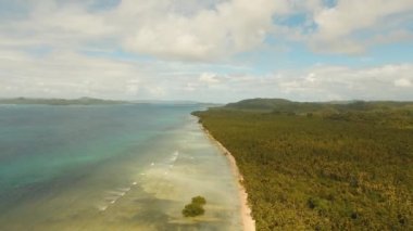 Tropikal plaj ve turkuaz deniz