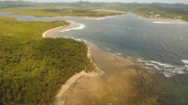 Tropik adanın kıyıları.