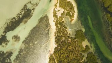 Tropikal plaj ve turkuaz deniz