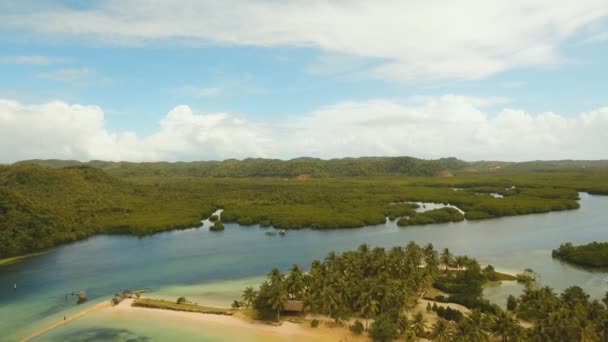 Plaja tropicala cu si mare turcoaz — Videoclip de stoc