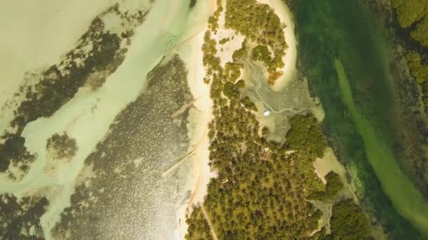 Тропічний пляж з бірюзовим морем — стокове відео