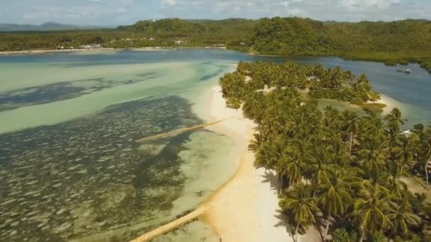 Tropisk strand med och turkost hav — Stockvideo