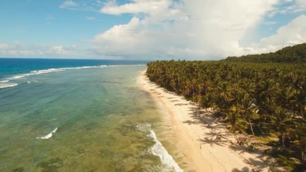 Playa tropical con mar turquesa — Vídeos de Stock