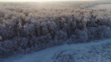 Kırsal kesimde kış manzarası