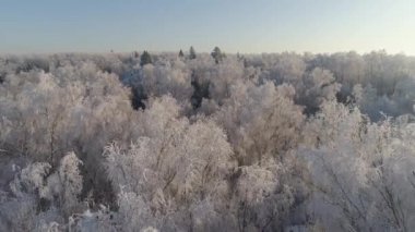 Kırsal kesimde kış manzarası