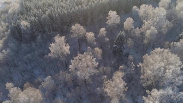 Winterlandschap op het platteland — Stockvideo