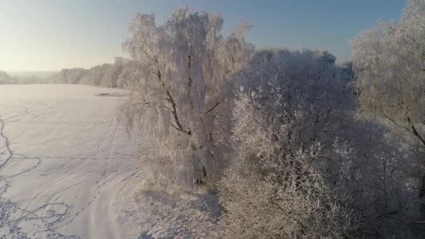 Kırsal kesimde kış manzarası — Stok video