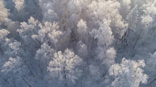 Krajobraz zimowy na wsi — Wideo stockowe
