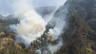 Dağlarda orman yangını