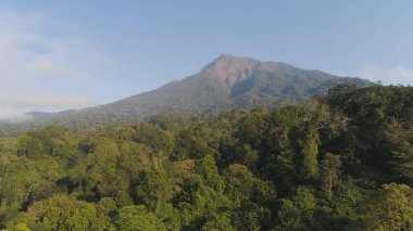 Tropikal manzara yağmur ormanları ve dağlar