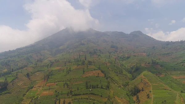 Тропический пейзаж с сельхозугодиями в горах — стоковое фото