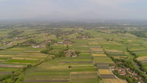 Campos de arroz e terras agrícolas na indonésia — Fotografia de Stock