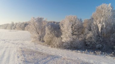 Kırsal kesimde kış manzarası