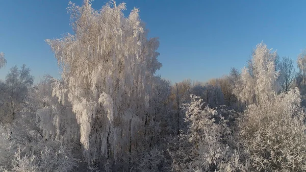 Krajobraz zimowy na wsi — Zdjęcie stockowe