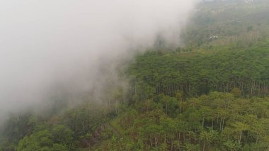 Endonezya 'da tarım arazileri ve köy Bali.