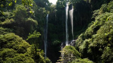 Güzel tropik şelale Bali, Endonezya.