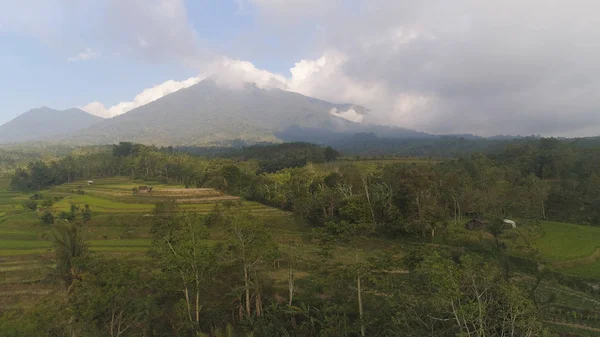 Fazendas e aldeia Bali, Indonésia. — Fotografia de Stock