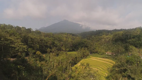 Fazendas e aldeia Bali, Indonésia. — Fotografia de Stock