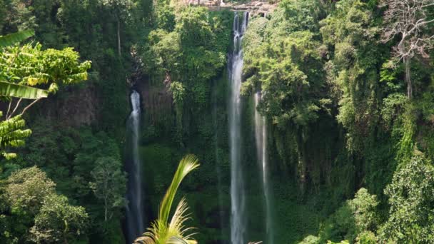 美しい熱帯の滝｜バリ島,インドネシア. — ストック動画