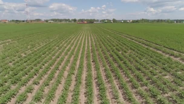 Vista aérea das terras agrícolas . — Vídeo de Stock