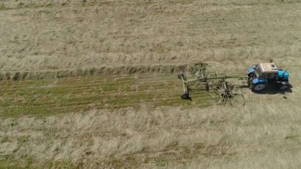 畑に熊手のeddersを持つトラクター. — ストック動画