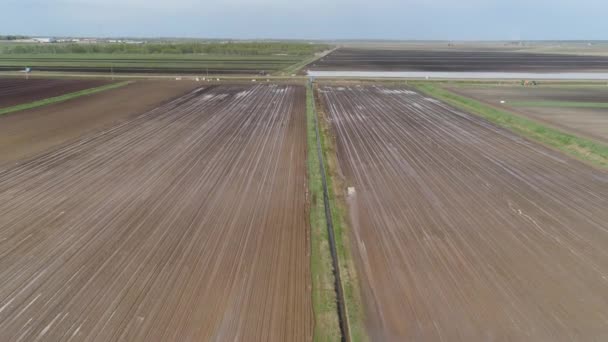 Sistema de riego en tierras agrícolas. — Vídeo de stock