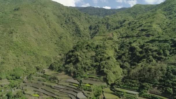 Terrazas de arroz en las montañas. — Vídeo de stock