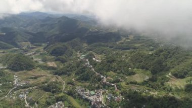 Banaue, Filipinler 'deki yamaçlardaki pirinç terasları. Kuzey Batad 'da pirinç ekimi. Dağlar ormanı, ağaçları kaplamıştı. Filipin Kordillerası.